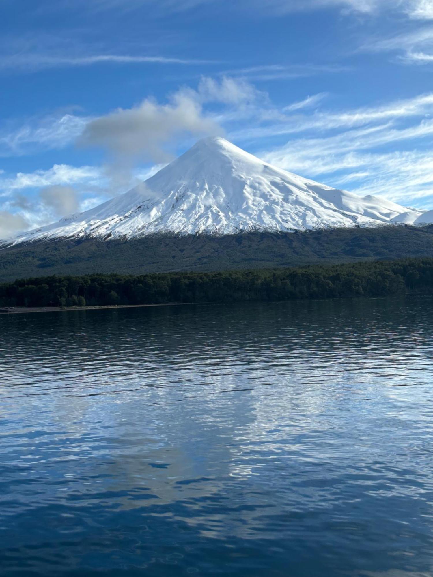 Apartament The Roses Puerto Varas Zewnętrze zdjęcie